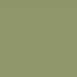 Plecy w kolorze Green