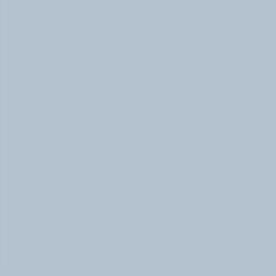 Plecy w kolorze Ice Blue