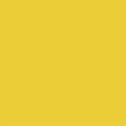 Plecy w kolorze Light Mustard