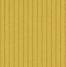 160. YELLOW PASSI <span class='ppom-option-label-price'>[+3,00&nbsp;zł]</span>