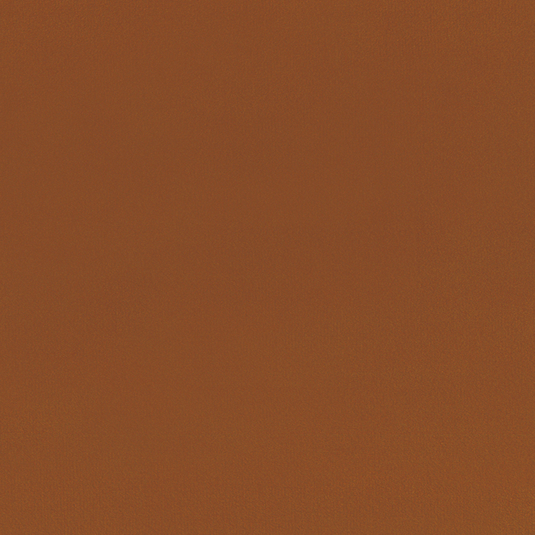 18. RUST VELVIE <span class='ppom-option-label-price'>[+3,00&nbsp;zł]</span>